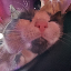 Laura Fuentes Grau's avatar