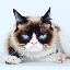 Dipl.-Ing. Jonas Stienen's avatar